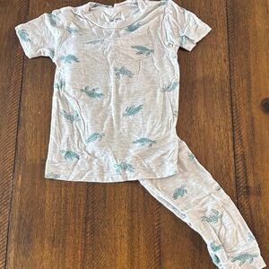 Carter's Gray Pajama Set with Turtle Design